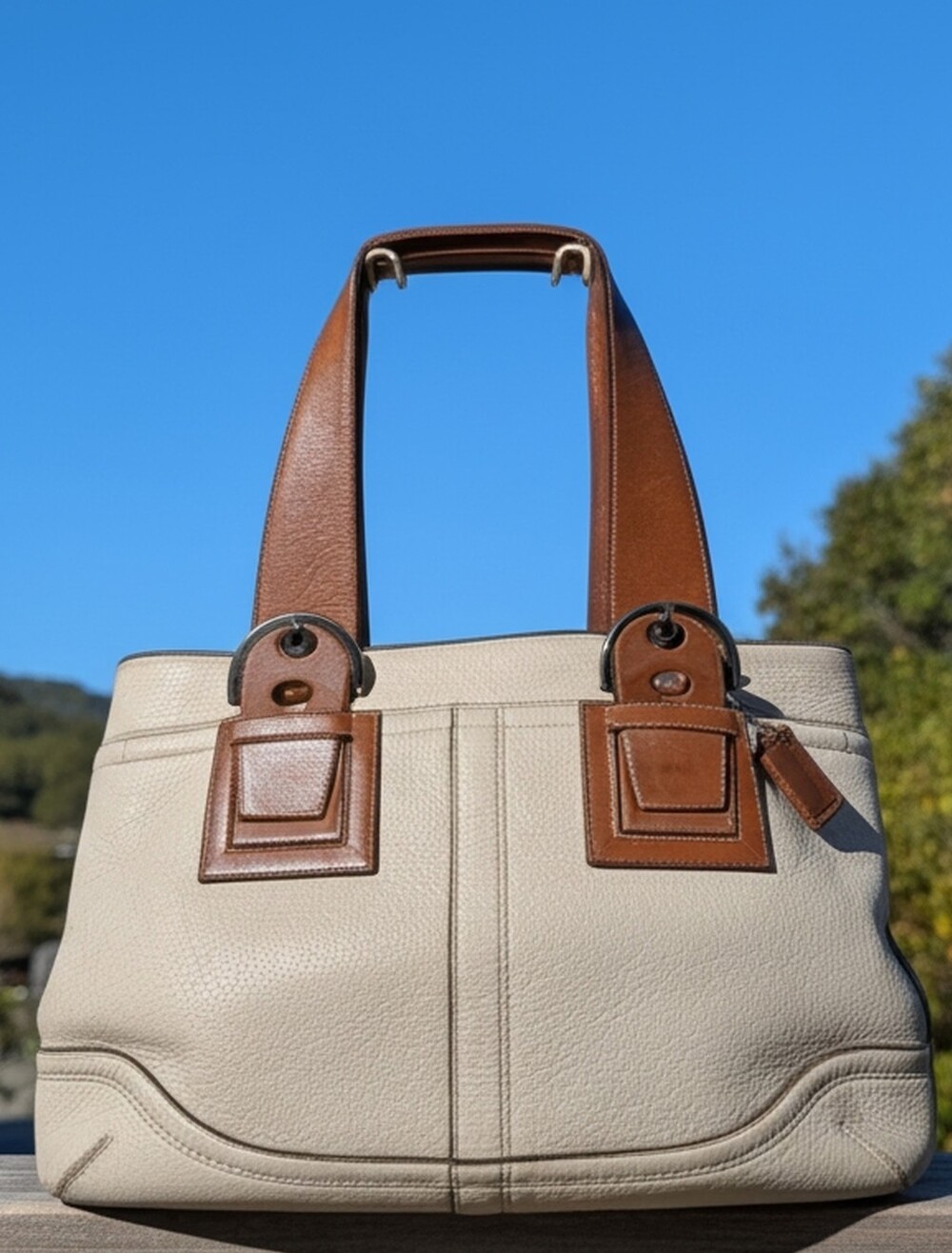 Coach Soho Pebbled Leather Carryall With Hangtag (F12302)